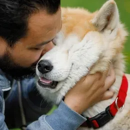 Ultra K9 Pro-reviews3